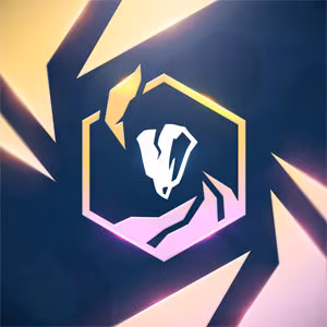 The custom profile icon of a player