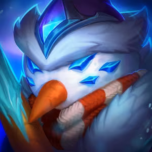 The custom profile icon of a player