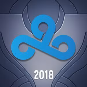 The custom profile icon of a player