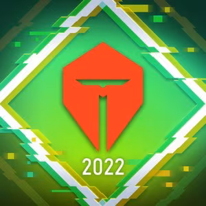 The custom profile icon of a player