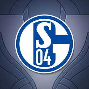 The custom profile icon of a player