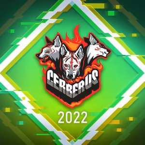 The custom profile icon of a player